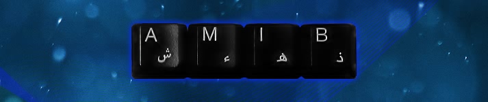 AMIB